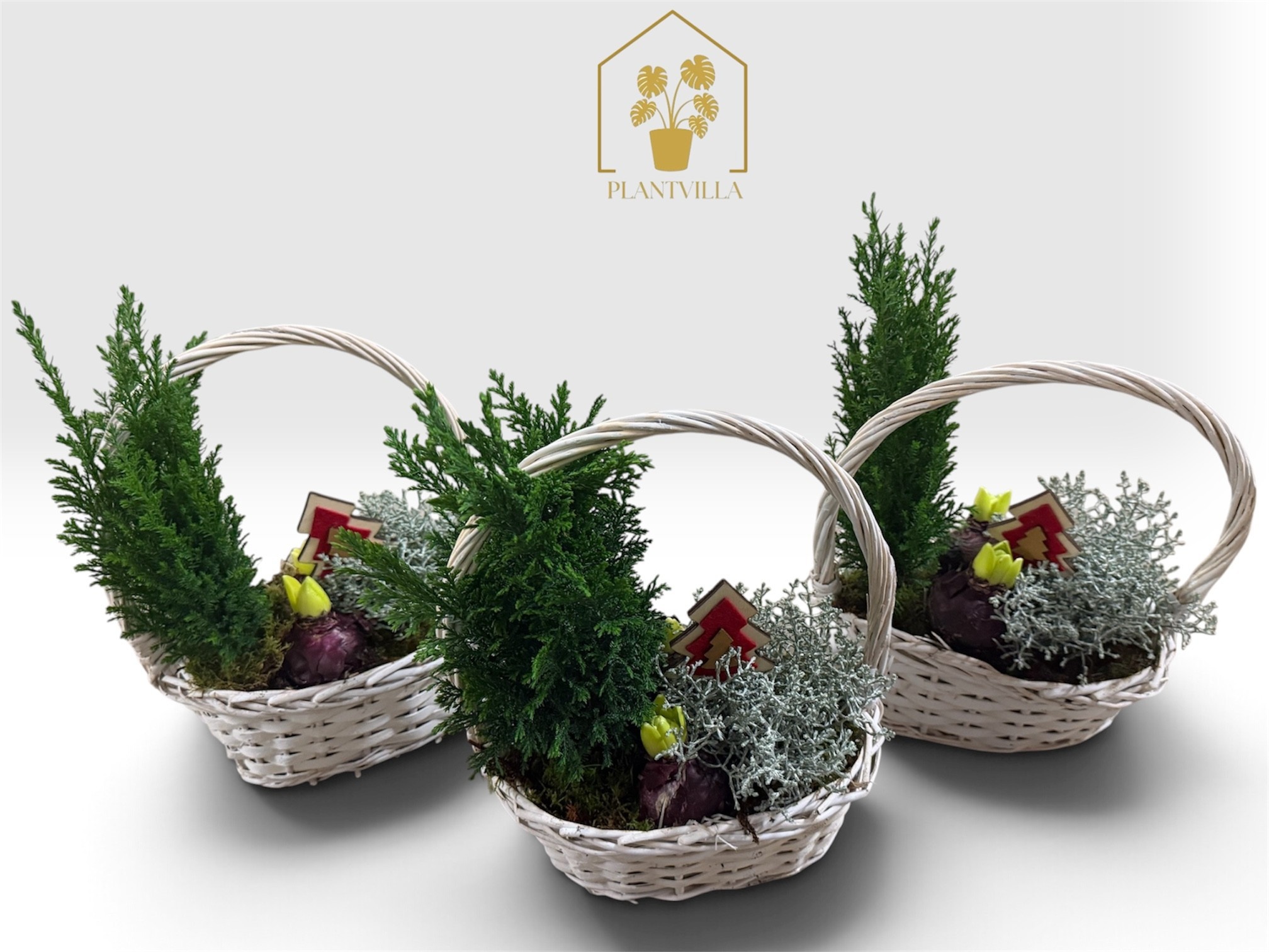 Arrangement Garden Plants 23Ø