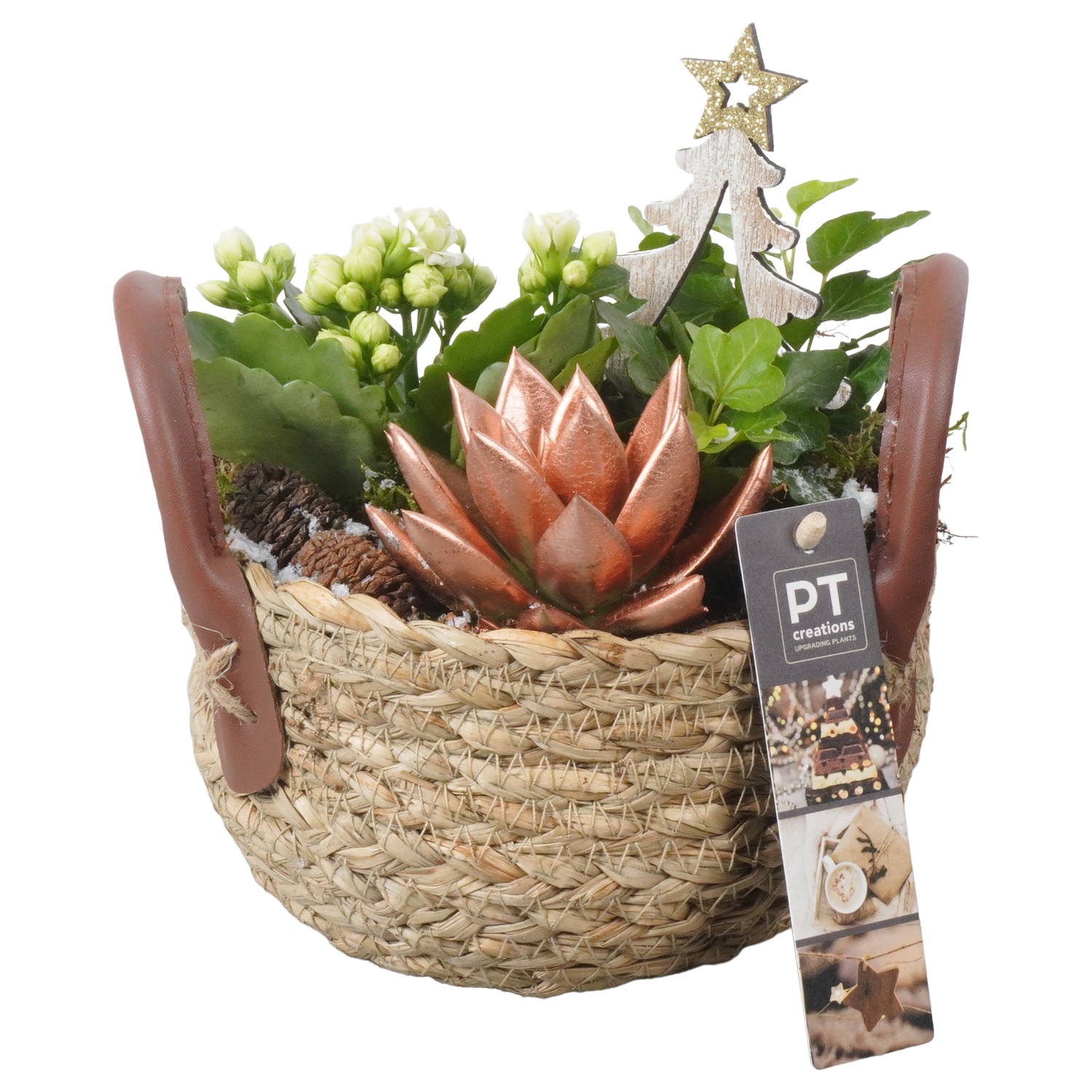 Picture of PTKB9336 Arrangement X-Mas in grass basket P15 20CM