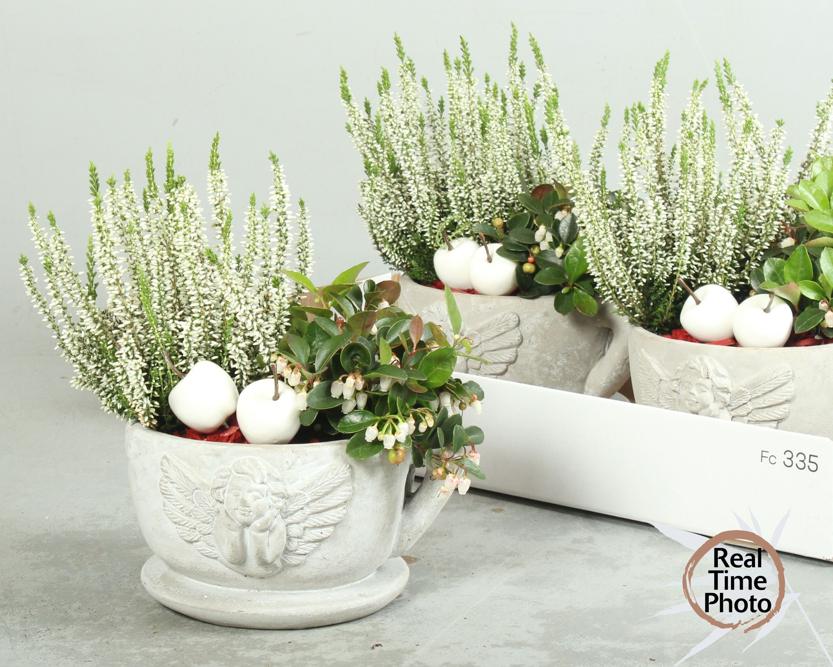 Arr Tuinplanten 19P 35cm