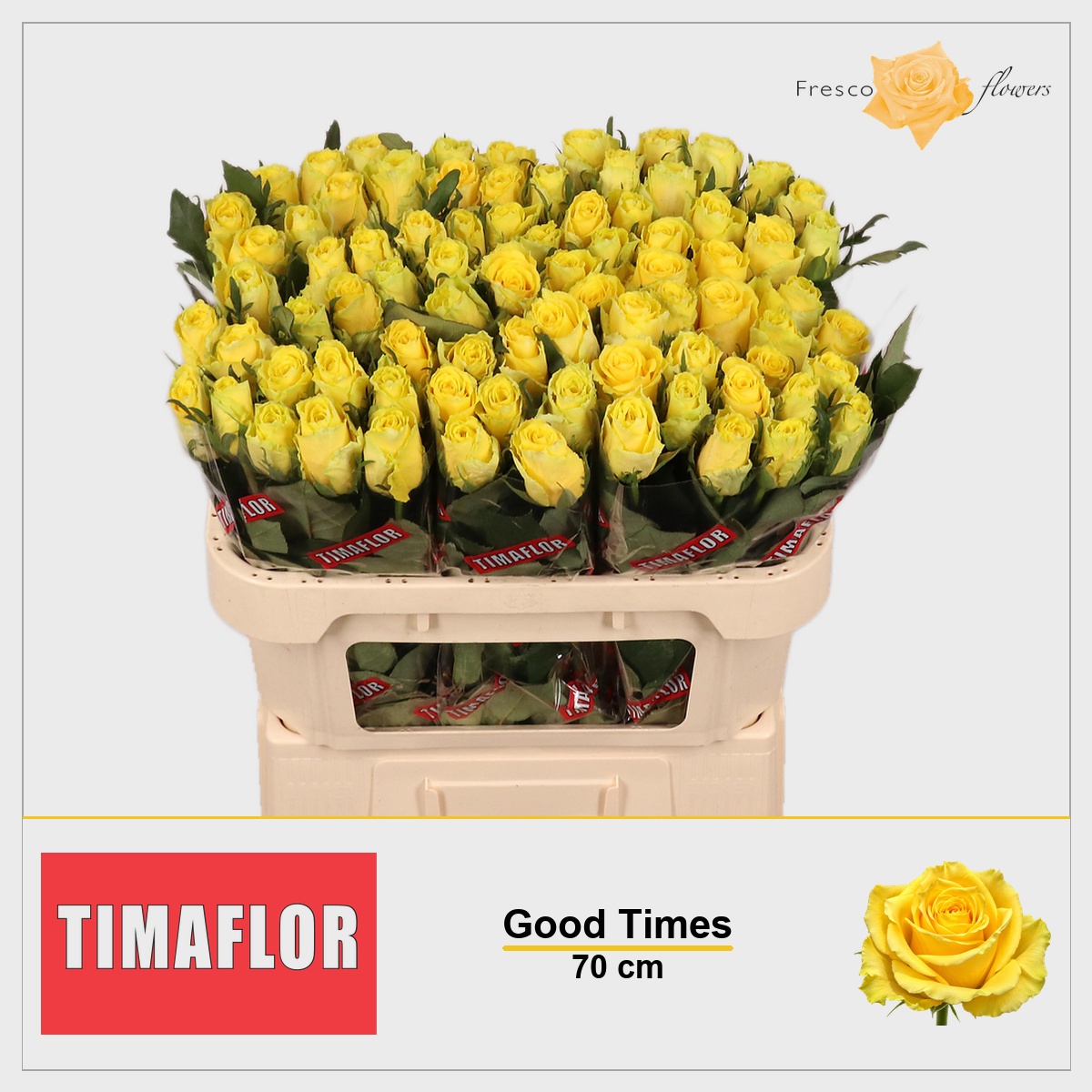 Rosa Good Times 70cm