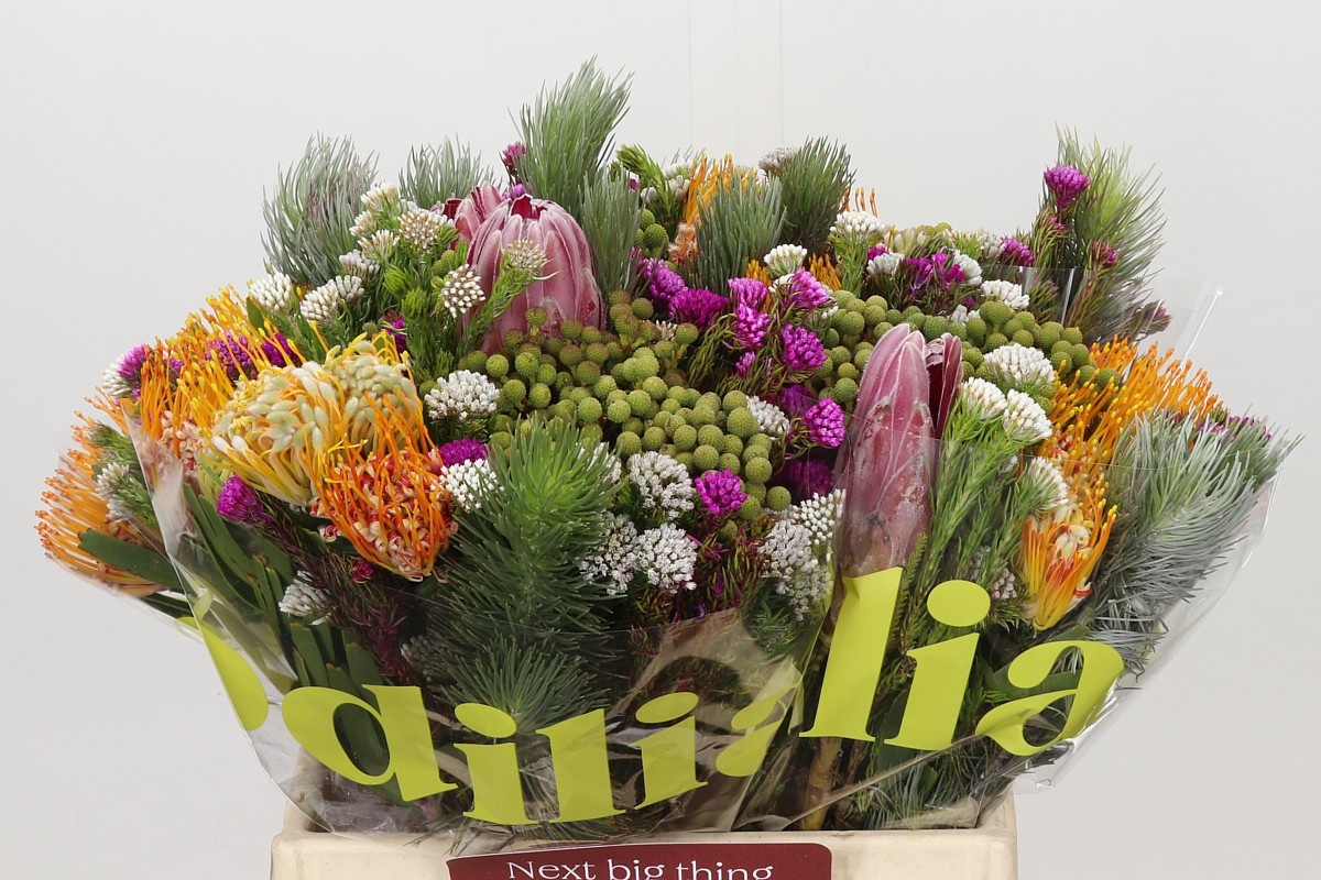 Cape Green Mixed In Bunch (BERZELIA) 40cm