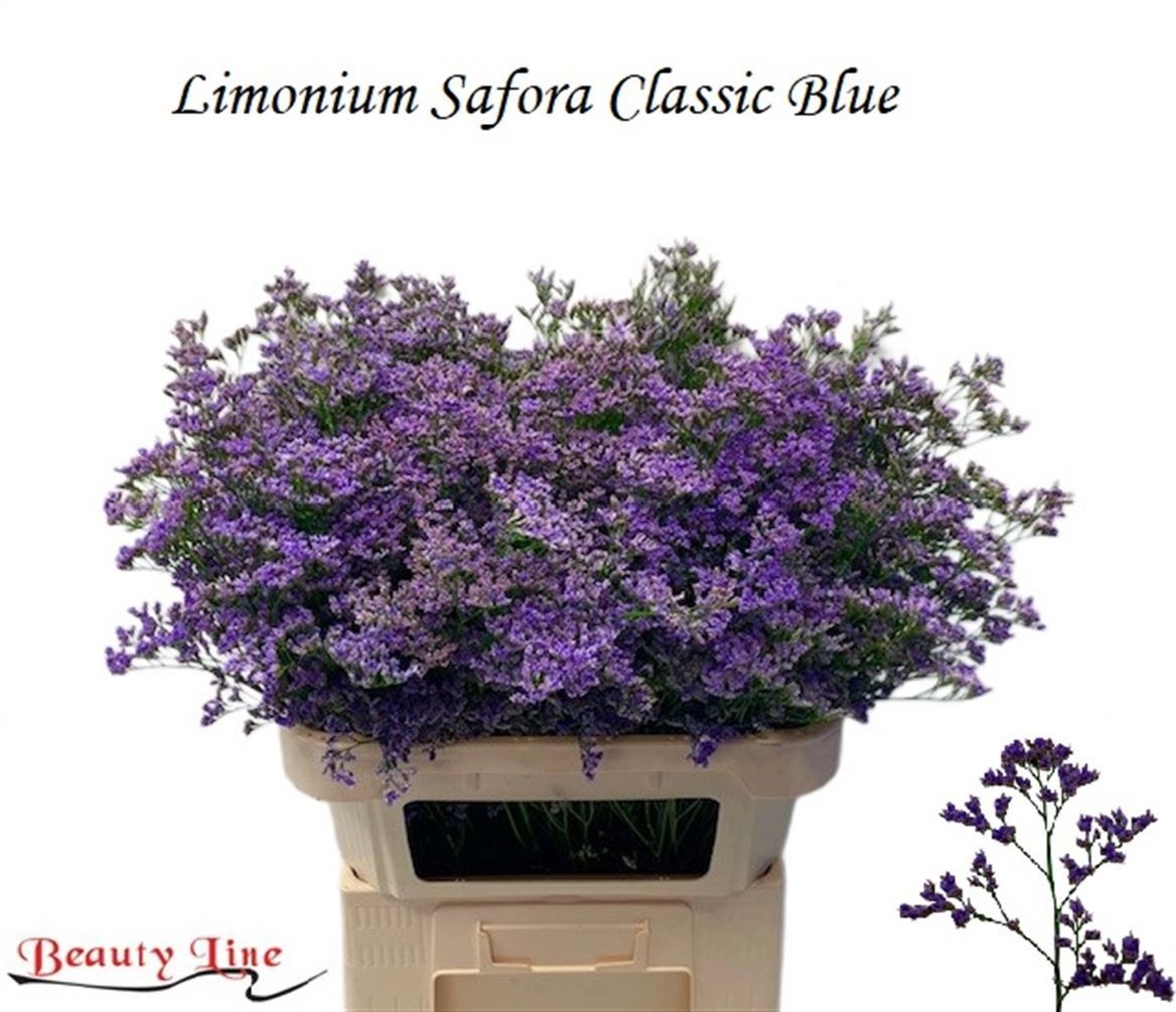 Lim Saf Classic Blue