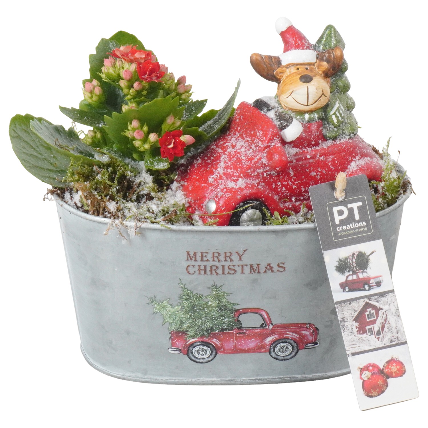 Picture of PTKB9446 Arrangement X-Mas in zinc pot P18 18cm